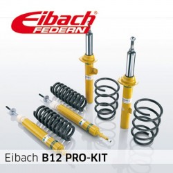 EIBACH B12 PRO-KIT...