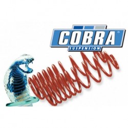 Cobra COB3059 Muelles para Automobiles